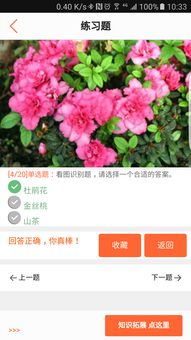 免费植物识别app,免费植物识别软件下载使用