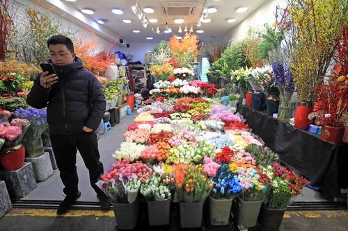 批发鲜花市场进货渠道在哪里啊,批发鲜花市场进货渠道在哪里啊电话