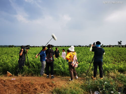 北京最大苗圃基地,北京最大苗圃基地是哪里