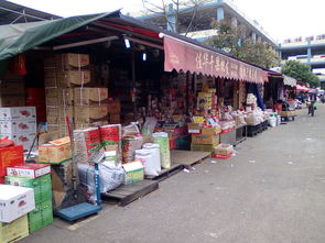 临沂最大花盆批发市场在哪,临沂现在还有几家花盆厂