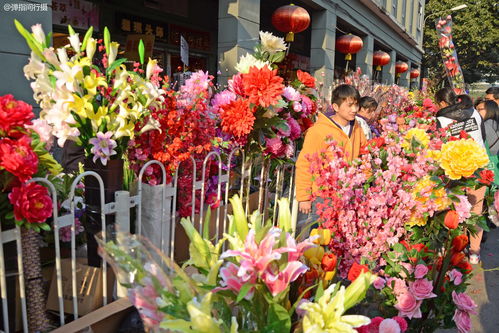 2021北京新年去哪里买花,北京买花的地方