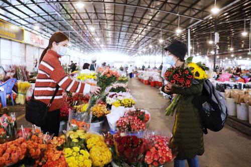 常德花卉大市场,常德花卉大市场有哪些