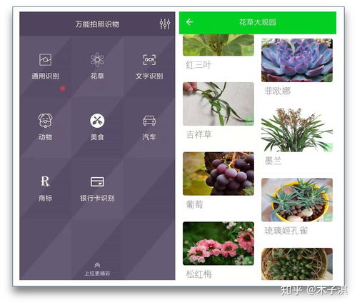 好用的花草识别软件,花草识别软件叫什么