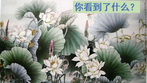 10岁12岁画荷花,9~12岁儿童画荷花