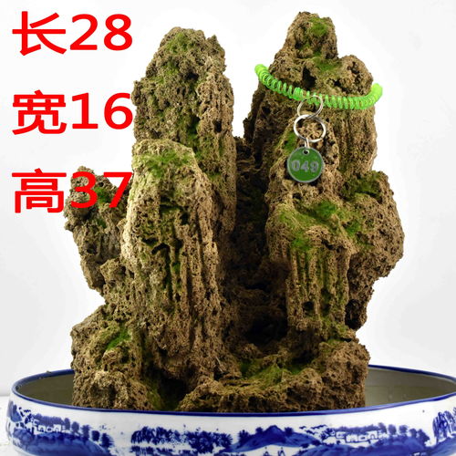 天然吸水石假山盆景制作方法,吸水石假山植物栽培