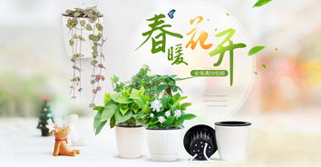 绿植公司简介模板范文,绿植公司简介模板范文图片