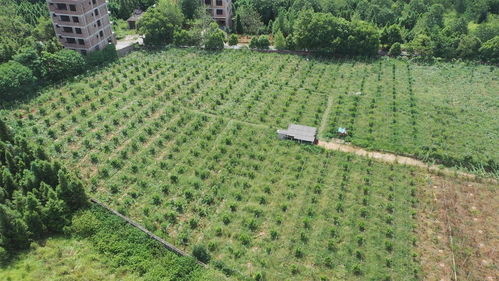 家庭生态农场,家庭生态农场申请书怎么写