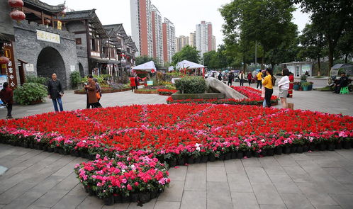 绿植花卉造型,绿植造型设计