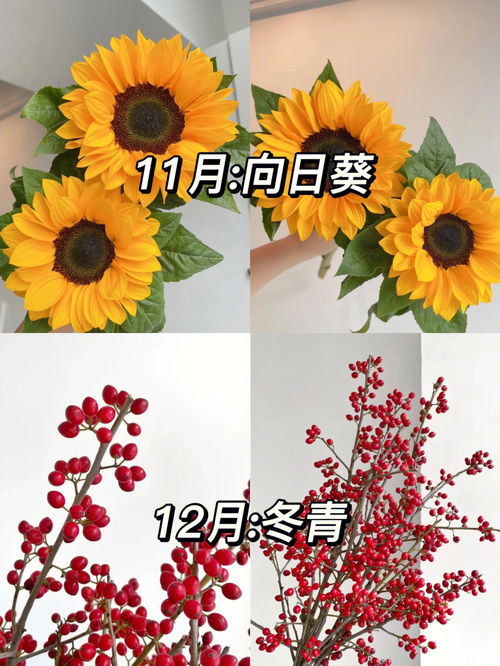 生日送鲜花,生日送鲜花图片大全