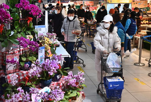 2019西安最大的花卉批发市场,2019西安最大的花卉批发市场在哪里