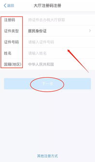 个人所税app,个人所税app下载安装最新版