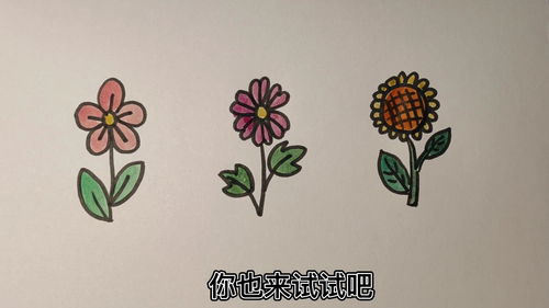 花卉大全500种图片画法简单,花卉图片欣赏