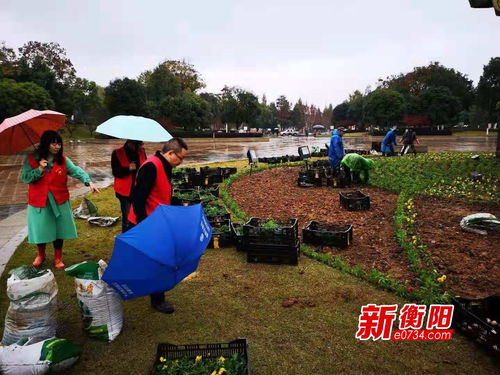 耐寒宿根草花大全,耐寒耐阴宿根草本花卉