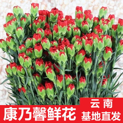 昆明花卉批发基地有哪些,昆明大的花卉批发市场在哪里