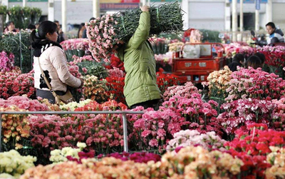 全国最大的花卉市场批发基地,全国最大的花卉市场批发基地是哪里