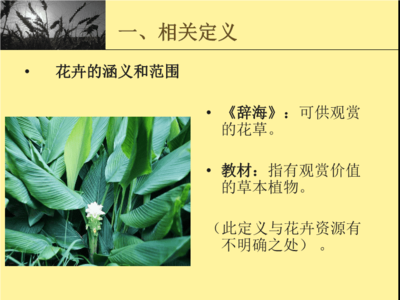 花卉的具体定义是什么,花卉的范畴