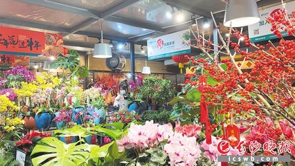 长沙花卉市场哪个好,请问长沙哪里有花卉市场批发