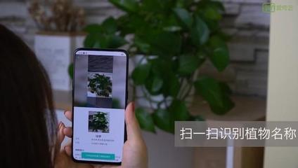 扫一扫这是什么植物,有没有扫一扫就知道是什么植物的软件