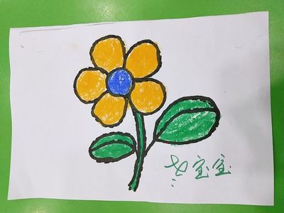 全部的花图片怎么画,全部的花图片名字