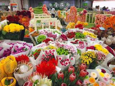 昆明花卉市场批发市场在哪里,昆明花卉市场批发市场在哪里进货