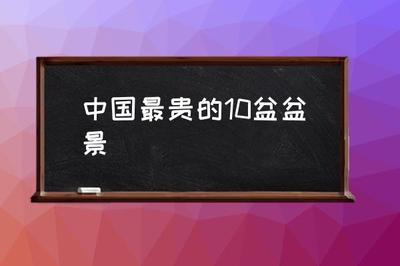 中国最贵的十大盆景排名,中国最贵盆景国宝