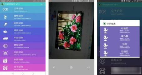 拍照查植物识别APP,拍照查植物识别软件下载