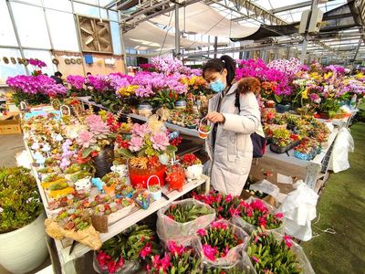 西安植物花卉市场地址,西安植物花卉市场地址电话