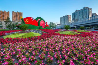 香坊花卉大市场营业时间,香坊花卉市场开业了吗