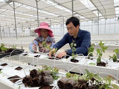 花卉栽培学,花卉栽培学知识点总结