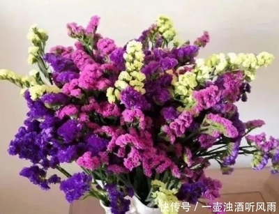 花朵名字好听的,花朵名字好听的有哪些