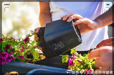 做花卉生意前景如何,做花卉生意的基本知识