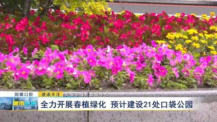 一斤花籽能种多少平方,1斤花生种子能产多少斤花生