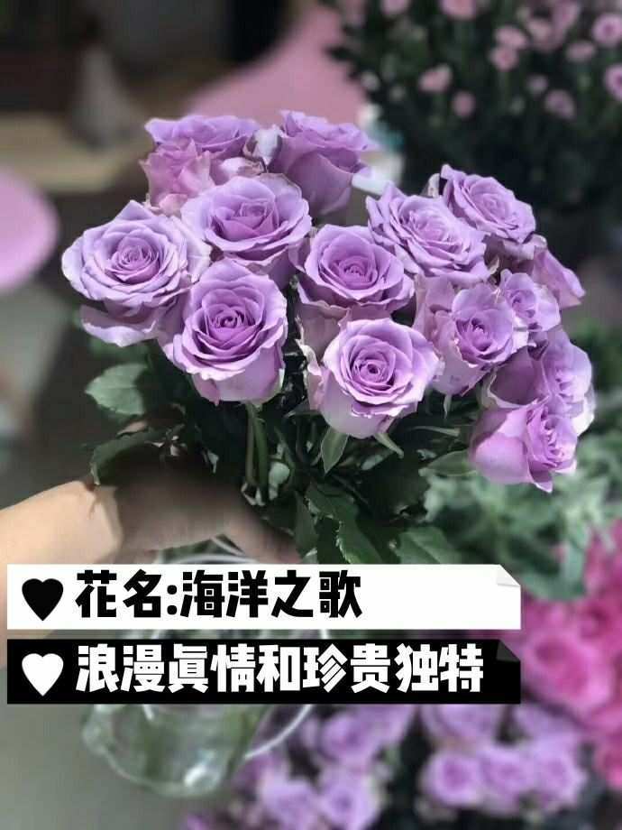 独特的花名,独特的花名寓意