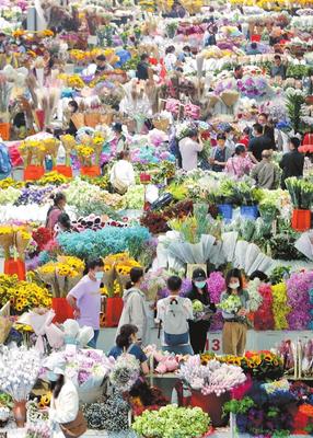 昆明花卉市场叫什么名字,昆明花卉市场营业时间