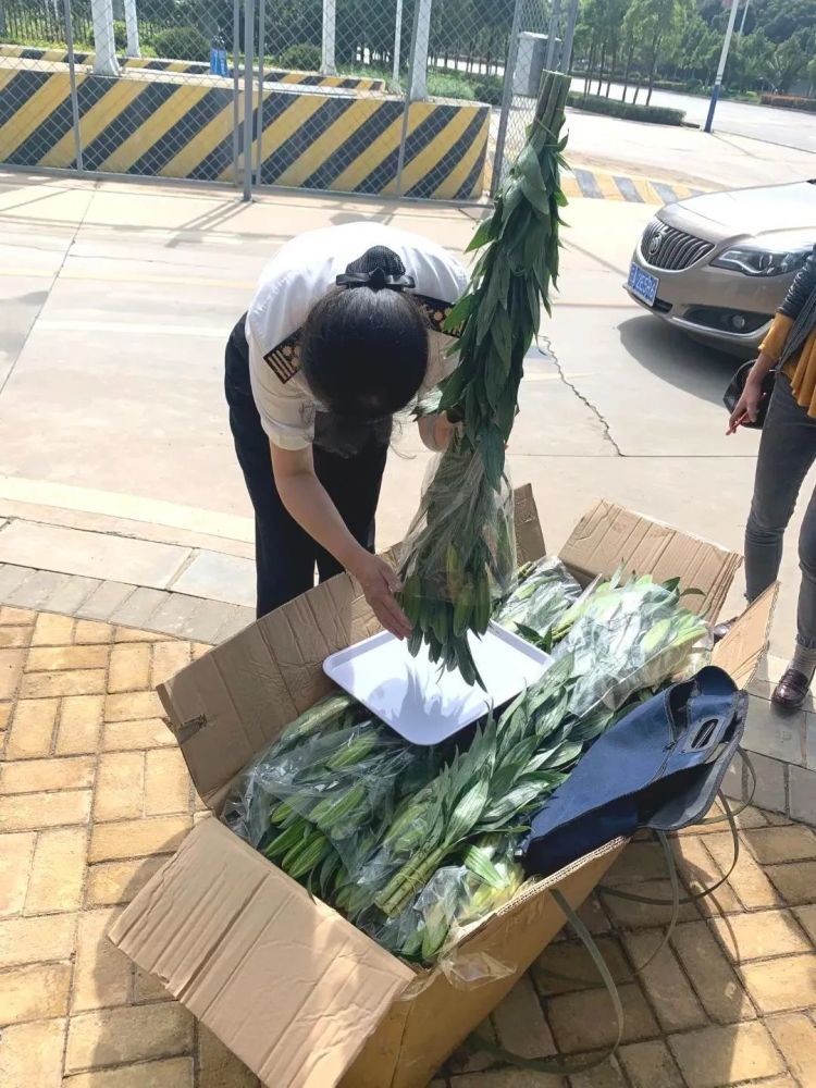 昆明鲜花代理可以相信吗,昆明鲜花批发市场招代理