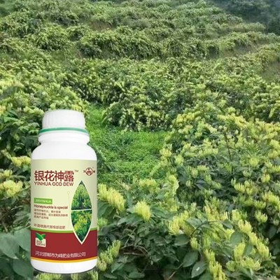 金银花用什么肥料最好,金银花使用什么肥料好