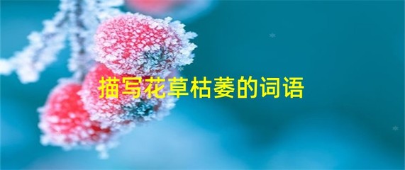 描写花草的词语,描写花草的词语 四个字