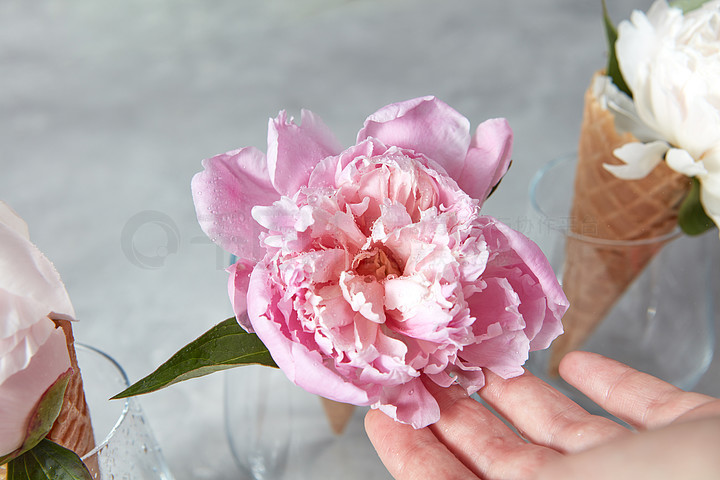 花递怎么样,花递鲜花加盟电话