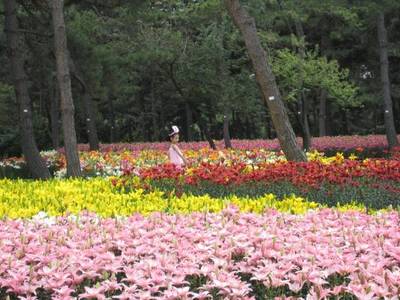 常德花卉大市场转让,常德花卉大市场转让最新消息