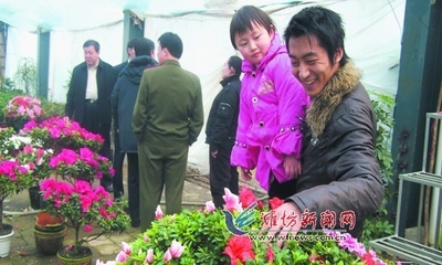 青州黄楼花卉市场搬迁,青州黄楼花卉市场搬迁了吗