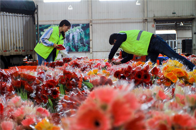 斗南鲜花批发市场图片,斗南鲜花批发市场地图