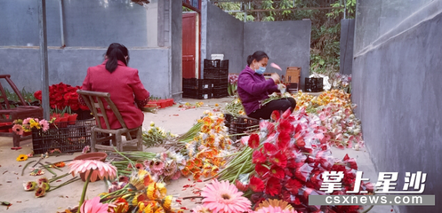 星沙花卉市场电话,星沙花卉市场电话号码