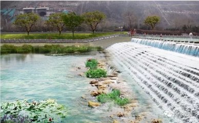 轮叶黑藻种植技术,轮叶黑藻种植技术催根发芽视频