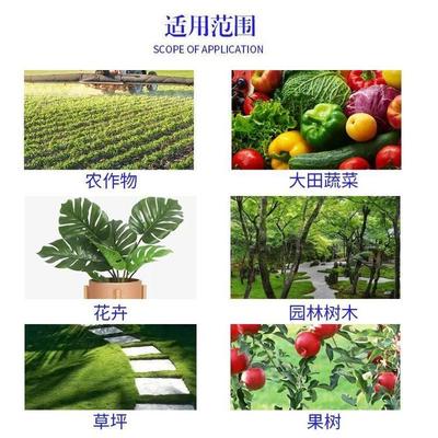 抗冻绿植,耐寒植物排名前十