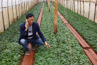 昆明花卉种植基地在哪,昆明花卉基地在哪里