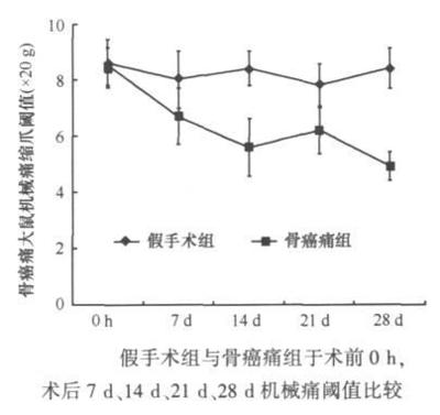 花卉栽培与养护选择题及答案,花卉栽培技术考试题