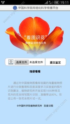 看图识花草app,看图片识花草树