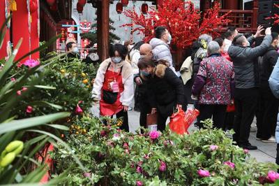 南昌花卉市场批发市场有哪些,南昌花卉市场批发市场有哪些品牌