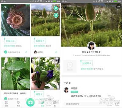 植物拍照识别病害app,植物拍照识别软件下载