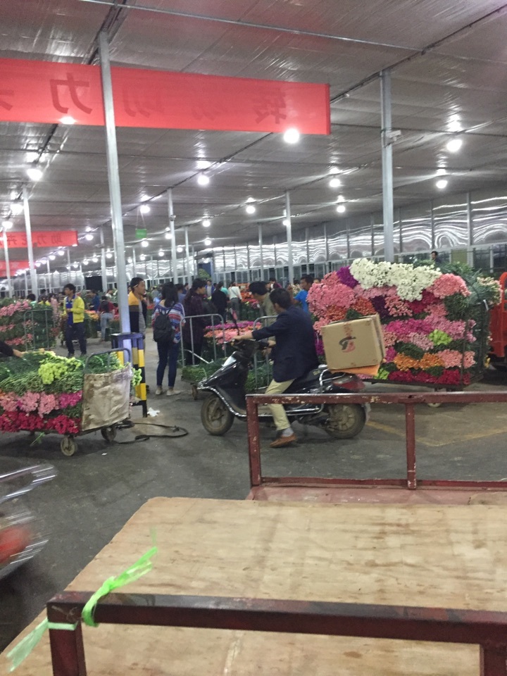 斗南花市批发市场几点关门,斗南花市批发商电话